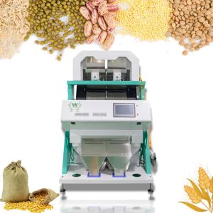 Wenyao 2 Chutes Walnut Color Sorter Machine Size Shape Sorting With CE