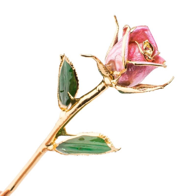 Wholesale OEM/ODM Real Preserved Rose Dipped In Gold Rose 24k Gold Roses