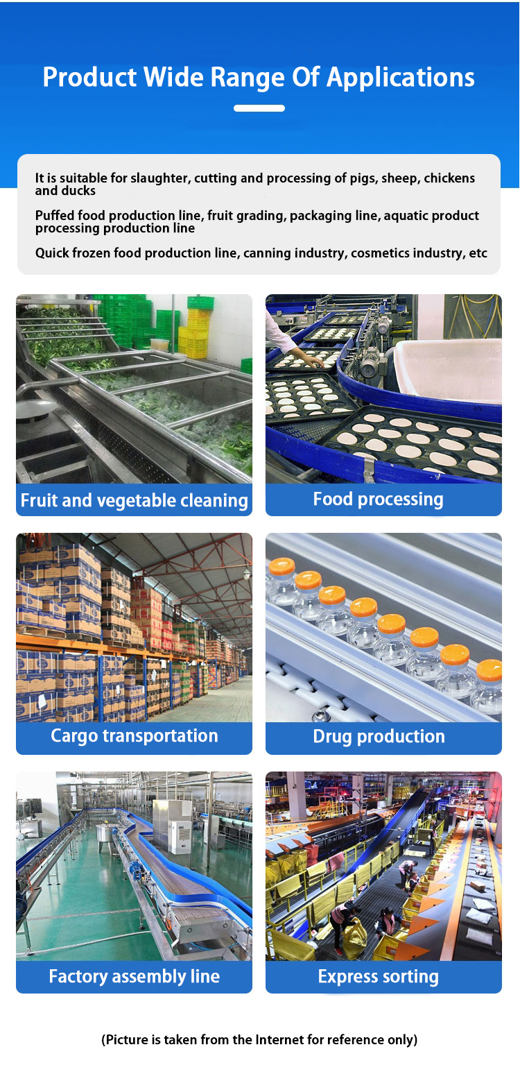 Easy-to-Clean Plastic Conveyor Belt Low Cost for Meat/Poultry Vegetables