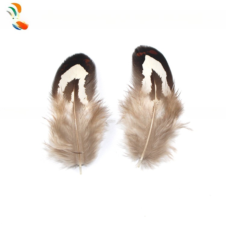 4-6cm Size Pattern Dyed Natural Pheasant Feather With Wire Accessory