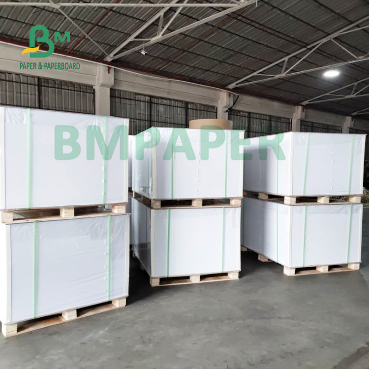 180gsm + 15gsm Single Side PE Coated Cup Paper Good Malleability