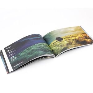  PSD C1S Instruction Booklets Manual Guide Glossy Matte Varnishing 500pcs Manufactures