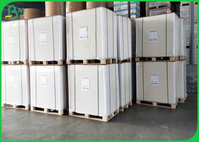 Single Side Coated White Board Food Grade 300gr & 15gr PE Making To - Go Box