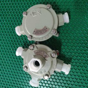 Class 1 Div 1 Flameproof Junction Box Manufacturers Ip65 With Aluminum Alloy