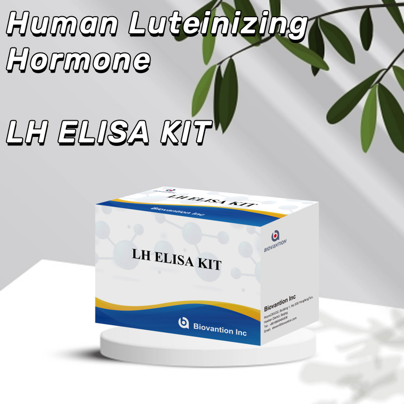 Biovantion ELISA Test Kit for diagnosis Human Luteinizing Hormone LH (Quantitative) hormones detect