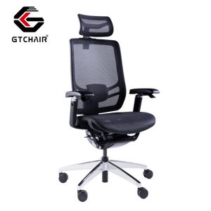 China Polished Height Adjustable Project Office Chairs Mesh Swivel Computer Ergonomic With Lumbar Support on sale