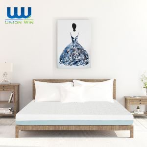 Biopreferred Dual Layer Memory Foam Mattress Topper For Pressure Relief