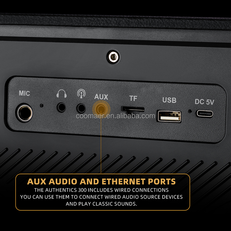 Home Karaoke BT Speaker With Wireless Mic and DC Power Source for Boobox Speakers