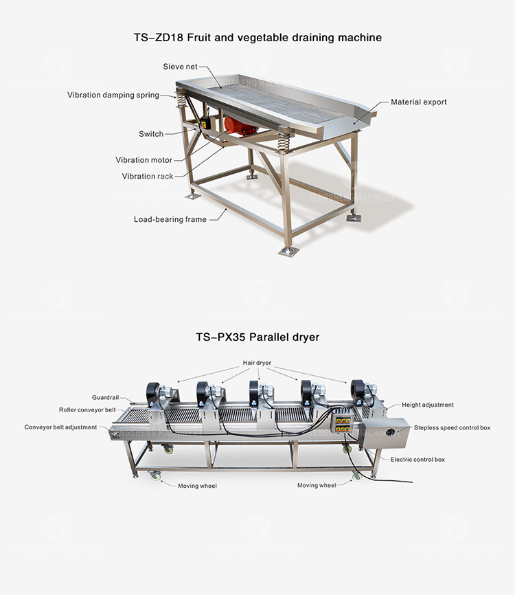 1000KG/H Fruit And Vegetable Processing Line Bubble Washing And Vibrating Drying