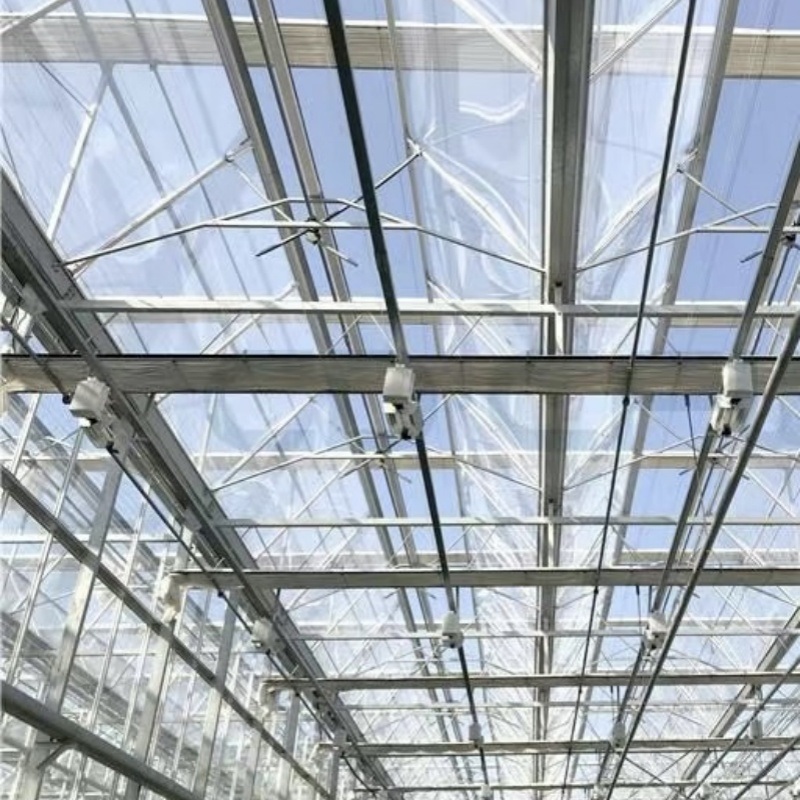 Good Light Transmission Glass Greenhouse Hydroponics Growing