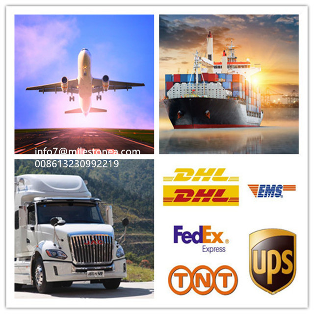 Standard Size Heavy Duty Truck Fuel Filter X00012879 X00042421