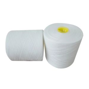 45/2 Raw White High Tenacity Polyester Yarn With Dyeing Tube With Cheap Price