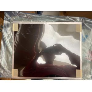17" G170ETN02.2 Sunlight Readable 1280x1024 LCD Display Panel