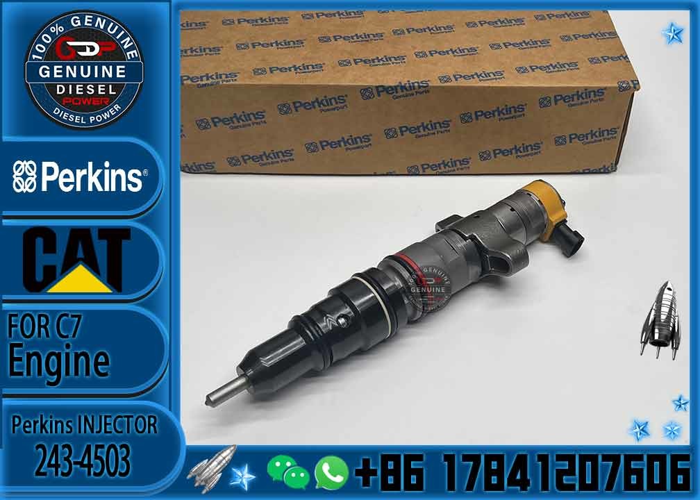 Diesel Engine Parts Common Rail Fuel Injector 243-4503 for CAT C7 Diesel Engine CNDIP Factory price