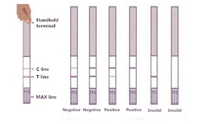 Sulfonamides Residues SAs Food Safety Rapid Test Kit For Tissue 96 Tests/Kit
