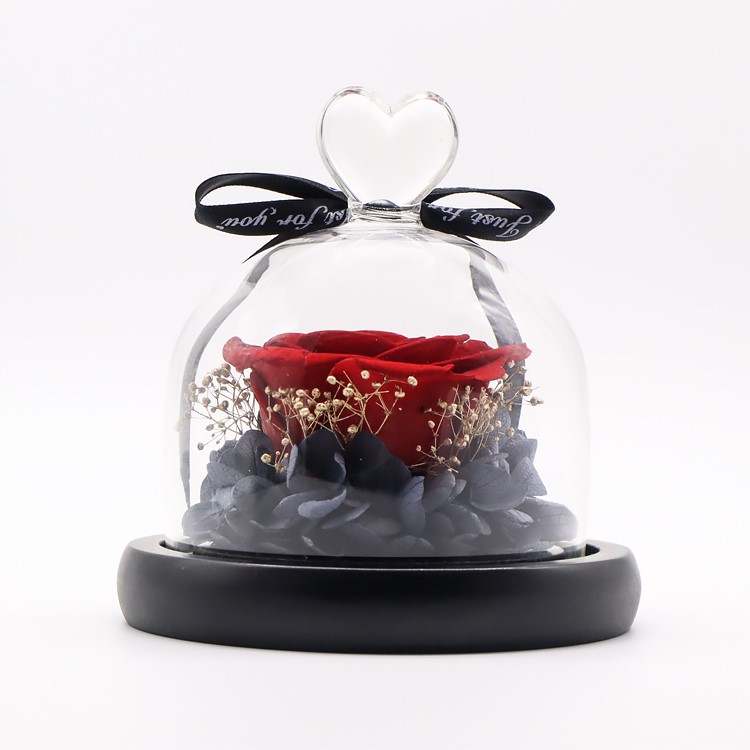 Christmas Decoration Preserved Rose Glass Dome With Christmas Reindeer