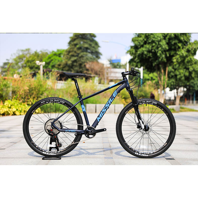 Durable 11speed Oil Brake Mountain Bike with High Cost Performance and Ordinary Pedal