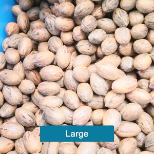 2 Tons Capacity 380V 8 Channels Pecan Sorting Machine With CE Certification