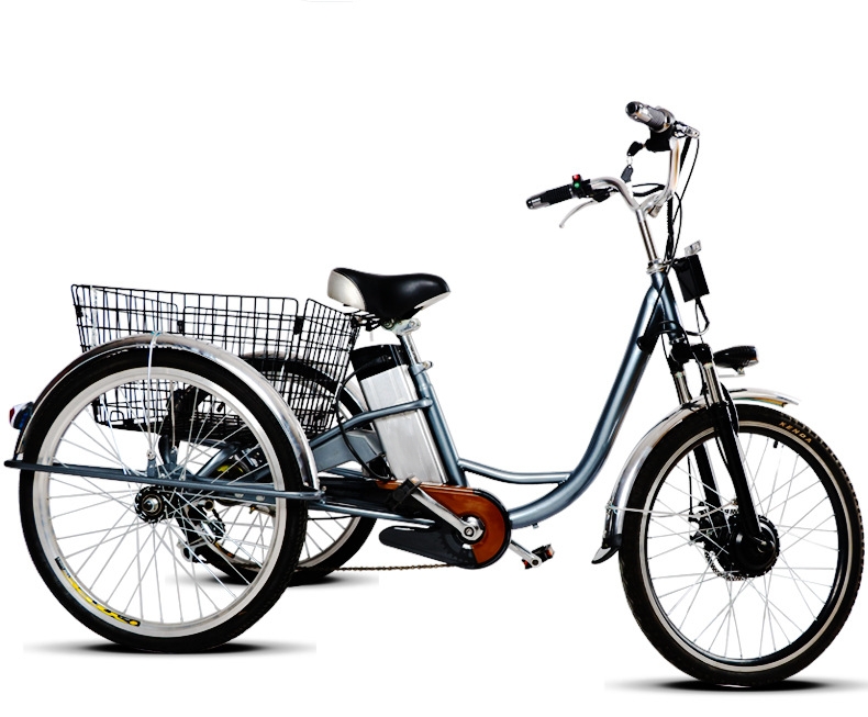 Adult 3 Wheel Electric Tricycle 48V 250W Motor Three Wheel Electric Cargo Bike