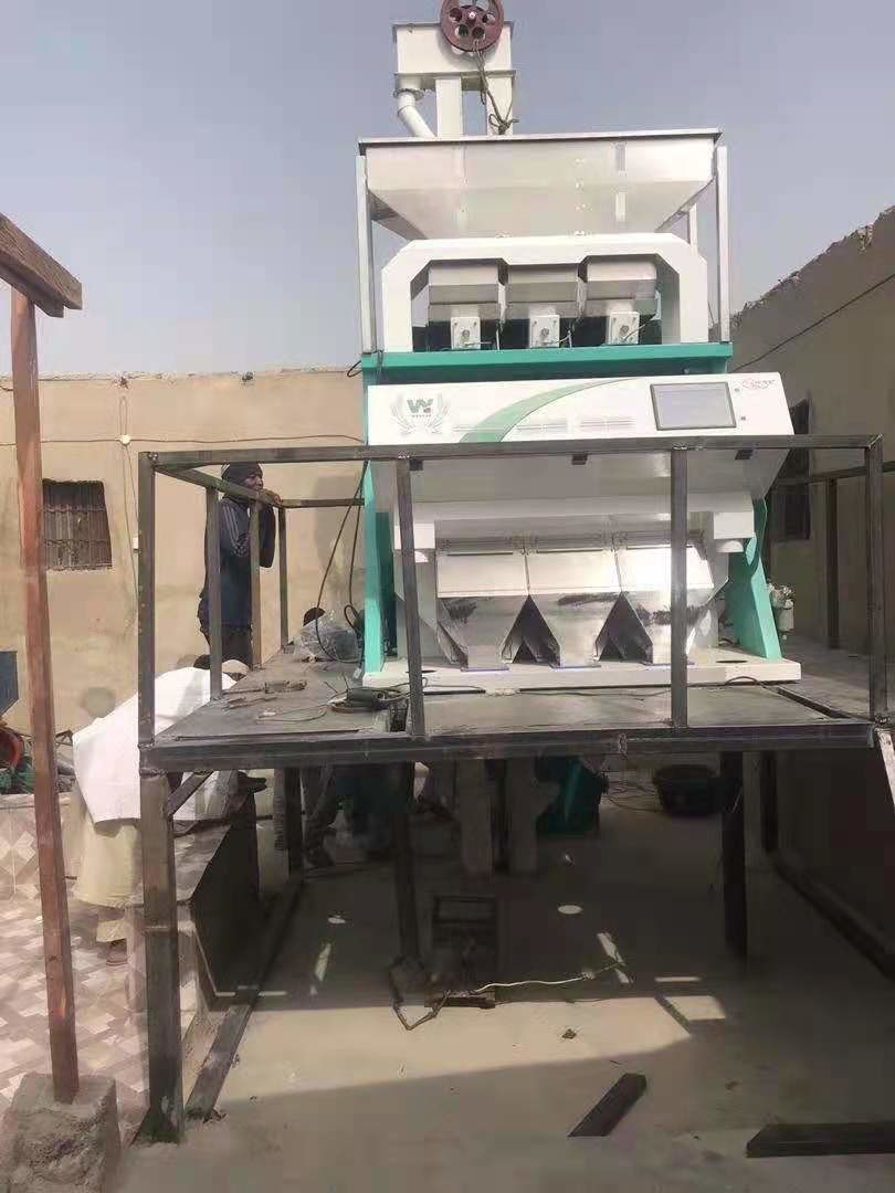 Coffee Beans Color Sorter , Electronic Colour Sorter 384 Channels 6 Chutes