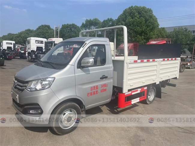 China Good Quality Cargo Lorry 1.5ton More Load Light Small Mini Cargo Truck for Sale