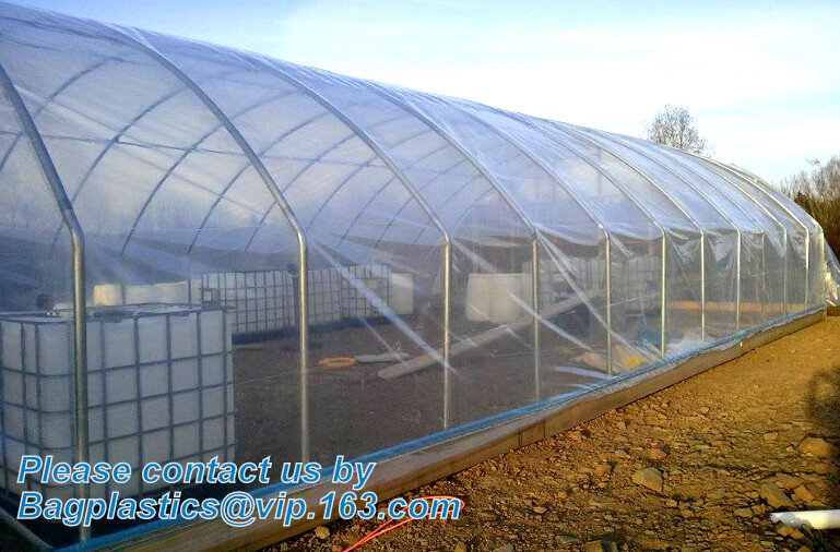 Transparent / Black / Silver / White color Plastic PE LDPE Agriculture Mulching Film,panda strawberry mulch film/black w