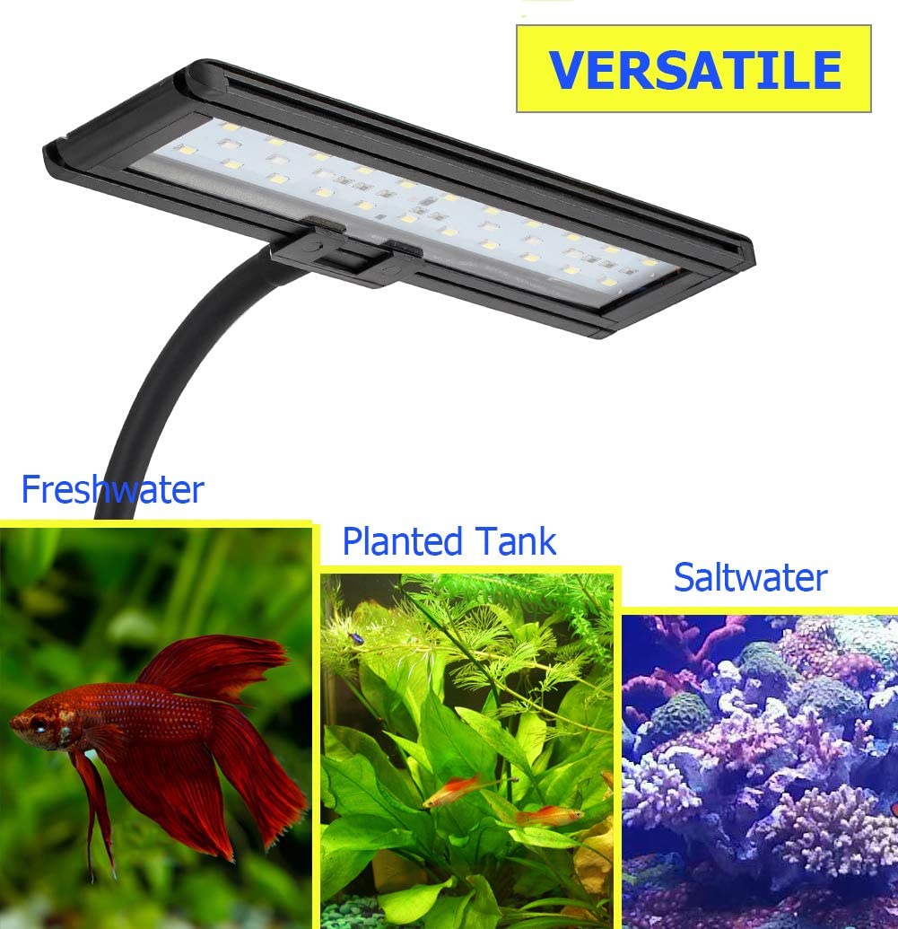 Blue White Clip On Saltwater Aquarium Light