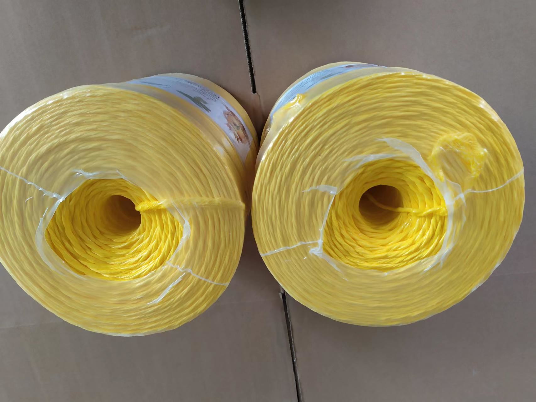 Africa Market Cheap And Highly Strength PP Packing Twine