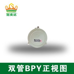  Ex Mark Exd IIB T6 Gb/Ex TD A21 IP65 T80C Explosion Proof Fluorescent Light Wall Mounting Manufactures