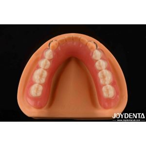 Personalized Customization Acrylic Denture Finish Lightweight High Elasticity