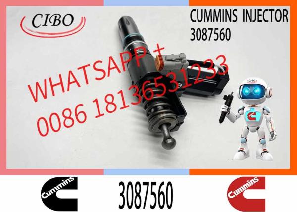 Fuel Injector for Cummins N14 3076050 4307516 3087560 4384360 3411760 3411765
