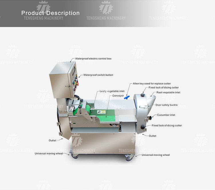 2.25KW Dual Frequency Converters Fruit Processing Machine Carambola