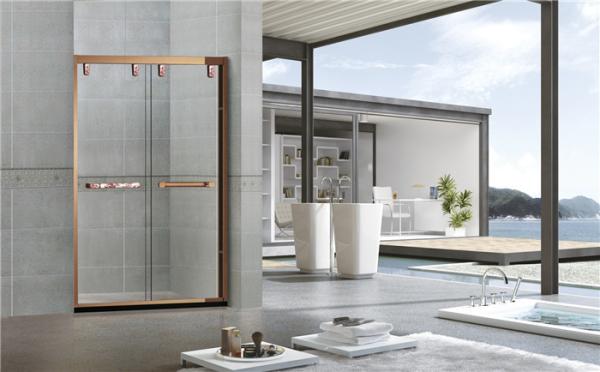 Inline 8MM Double Sliding Bathroom Shower Screen Red Bronze Printed Stinless