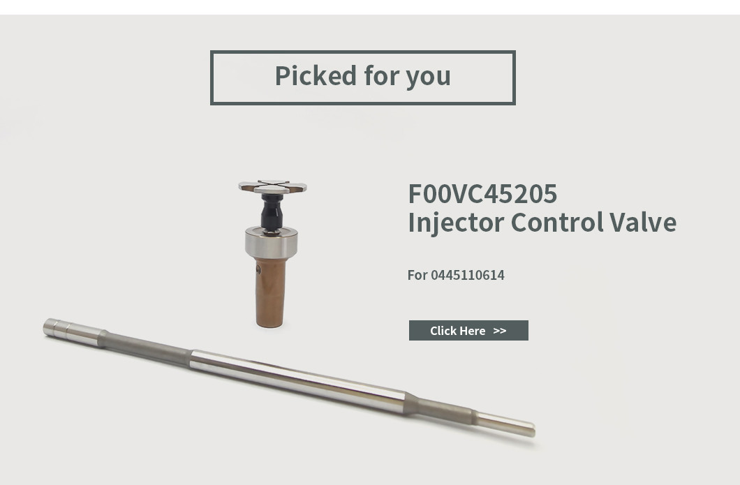 0445110614 Bosch Injector Repair Kit