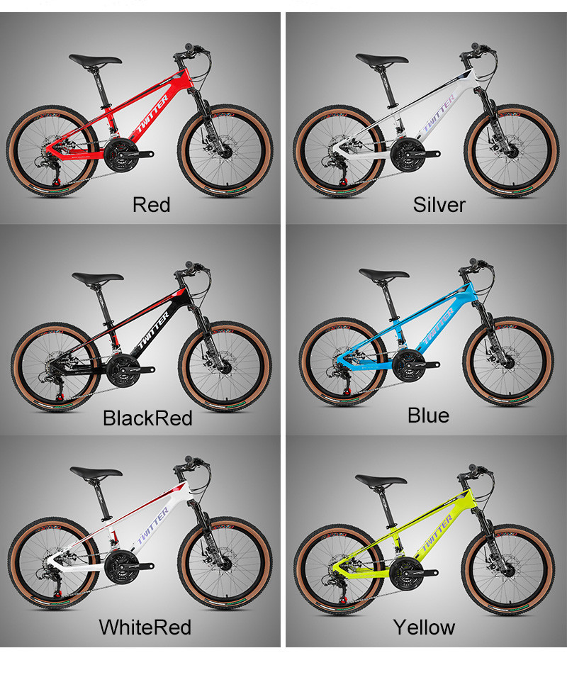 20inch Carbon Fiber Mountain Bike SHIMANO EF500 21 Speed With Disc Brake