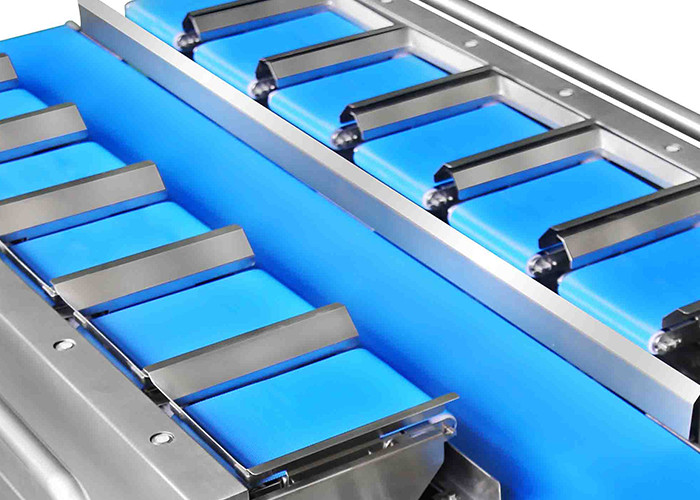 Chili Carrot Food Grade Siemens Belt Weigher For Irregular Product