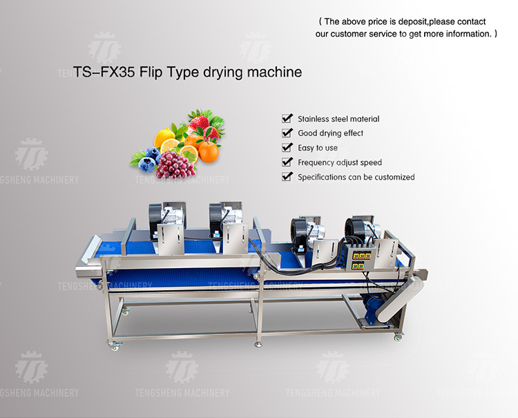 Automatic Dewatering Dehydrator Vegetable Mesh Conveyor Belt Drying Machine