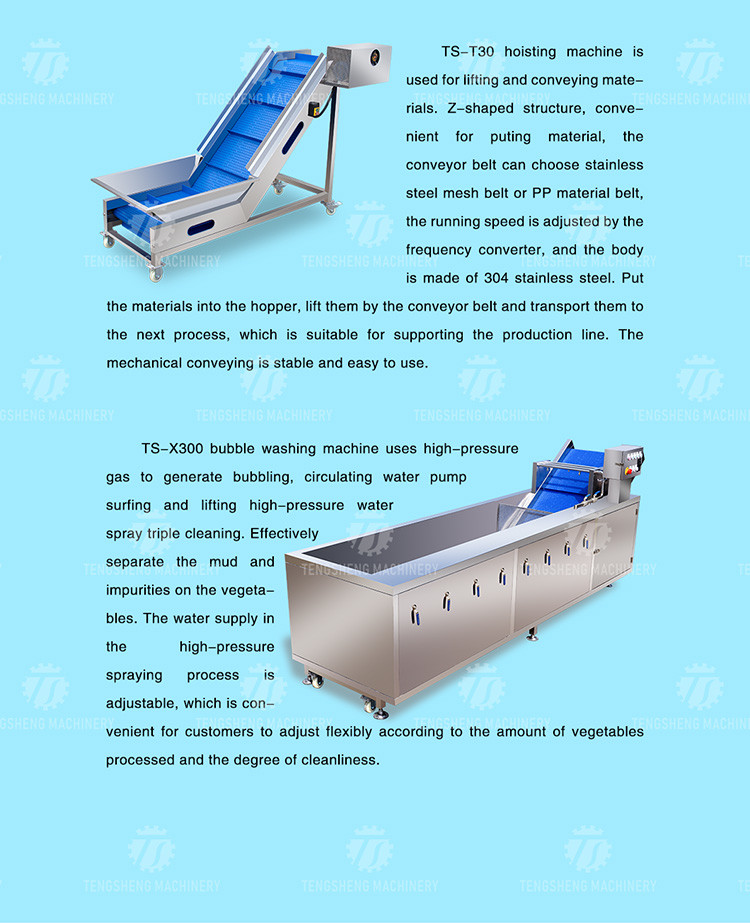 165MM Belt Industrial Vegetable Processing Machine Fruit Selection Washing Cutting Machine