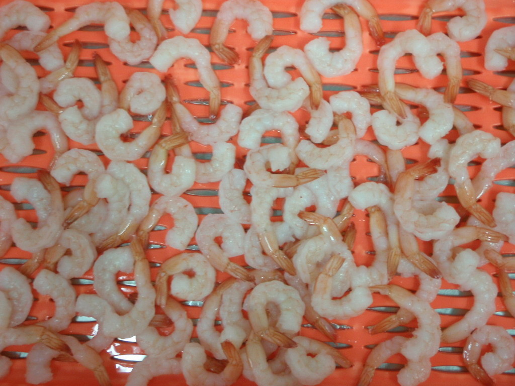 IQF Frozen Skinless Vannamei White Shrimp / Fresh Frozen Shrimp For Restaurant