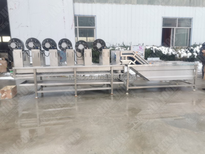 SC Series Processing Line Easy operation potato washing plant/ vegetable bubble washing machine/ soybean washing machine