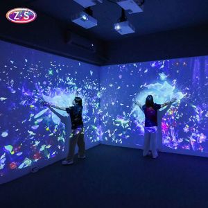  Multi Zone Immersive Projection Synchronized Effects Whole Room Coverage Manufactures