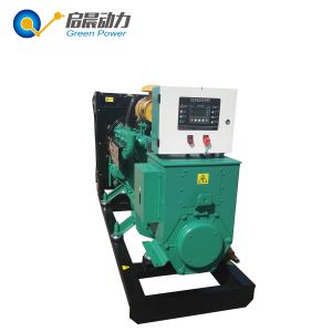 Biogas Generator Natural Gas Generator Set with ATS