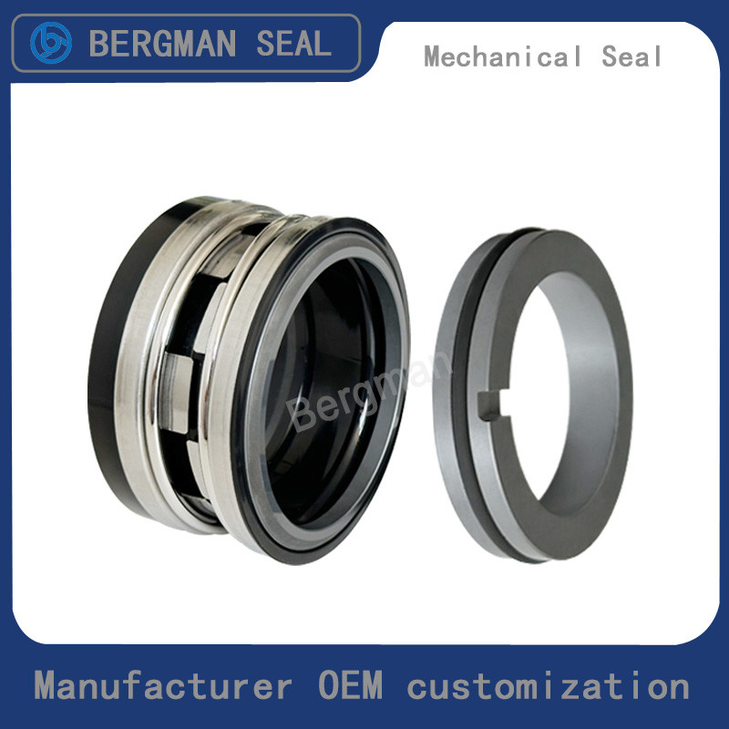 Durable BERGMAN Replaces John Crane 2100-K 12mm-100mm G60 G4 G6 G9 G13 G16 BS Bo BP Pump Mechanical Seal