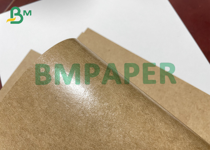 Single-side PE-coated Waterproof Kraft Paper For Disposable Lunch Boxes
