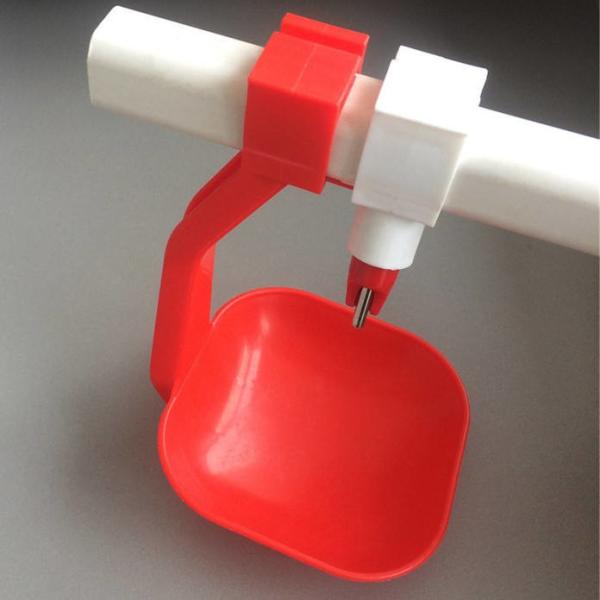 Plastic Poultry Feeder&Drinker 100pcs/Box MOQ Durable and Reliable Feeding