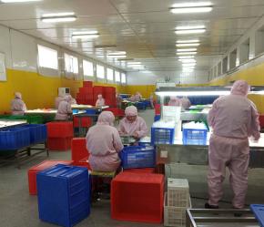 Qingdao  Opal Industrial Co.,Ltd