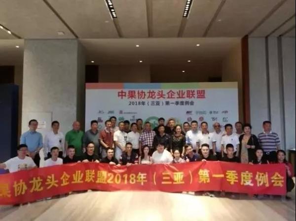 the regular meetings and the activities for the alliance of Chinese leading