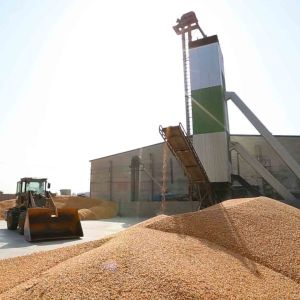 Continuous Flow Grain Drying Tower with PLC Control System for Fast and Uniform