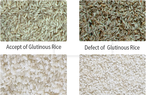 5400 Pixels Glutinous Rice Color Sorter , Yellow rice separator machine
