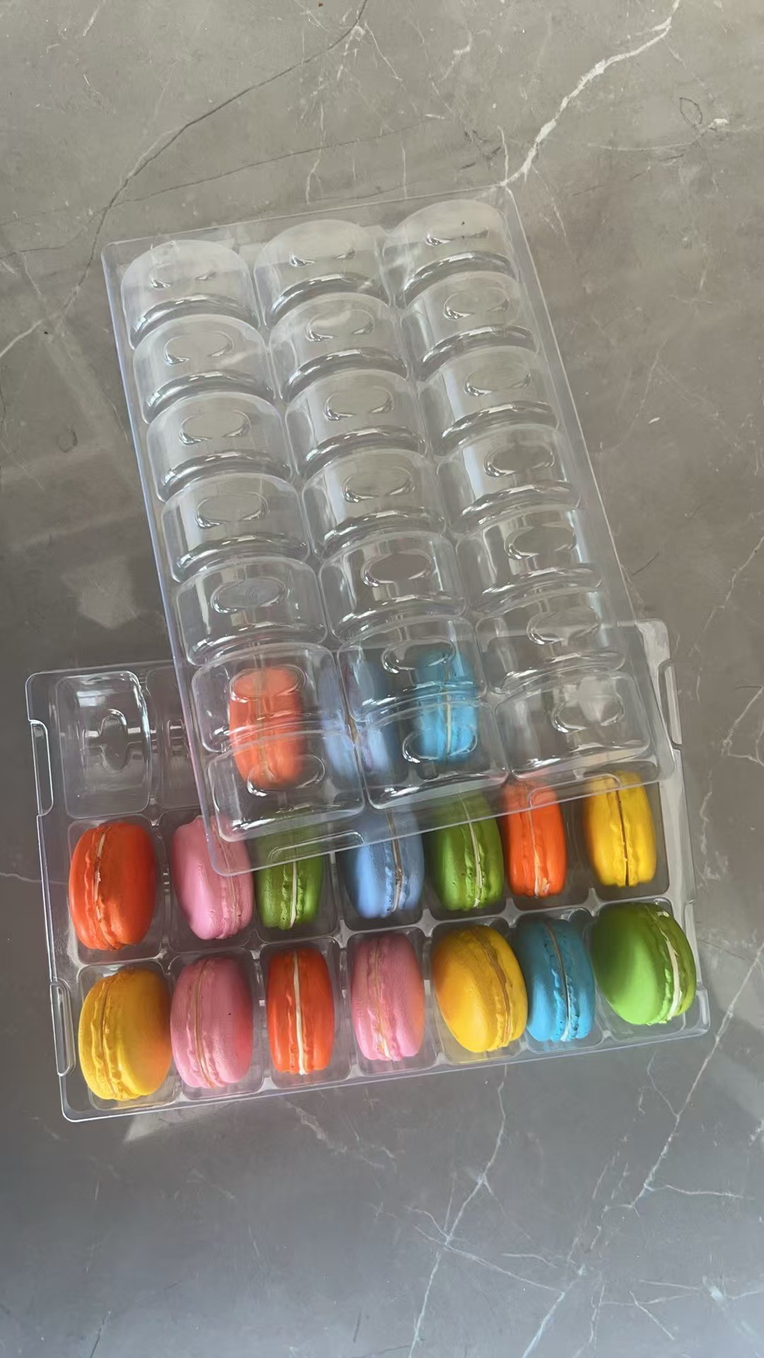 Rectangle 21 Pallets Plastic Packaging Macaron Tray Customizable